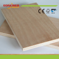 Plywood for Chair Seat 15mm Okoume Plywood